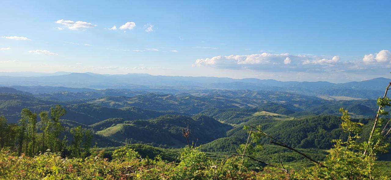Pensiunea Popasu Suciu de Sus Buitenkant foto