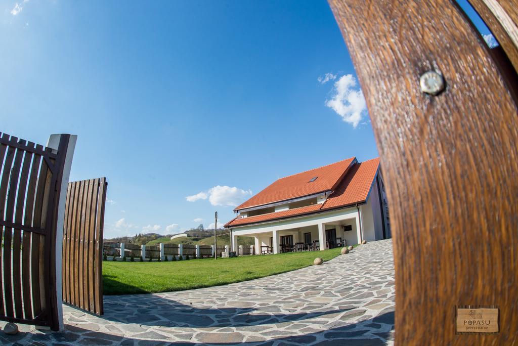 Pensiunea Popasu Suciu de Sus Buitenkant foto